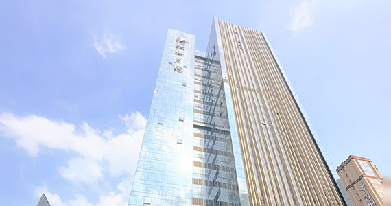 my77738免费域名查询