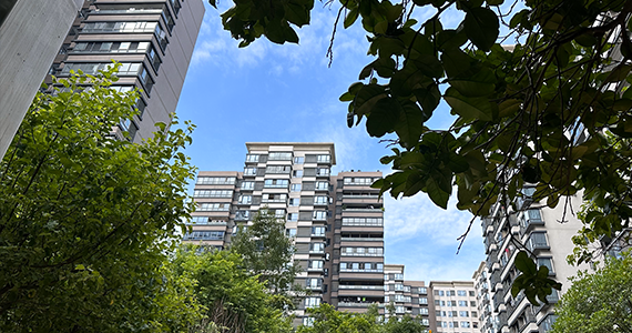 域名注册公司：互联网时代的品牌守护者